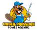 Under Pressure Power Washing